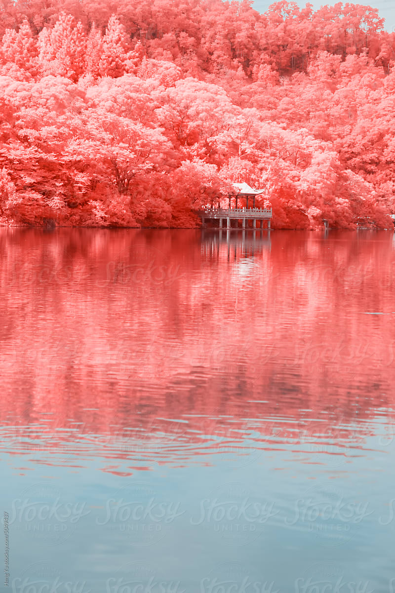 Infrared photography of  traditional Chinese buildings on lake