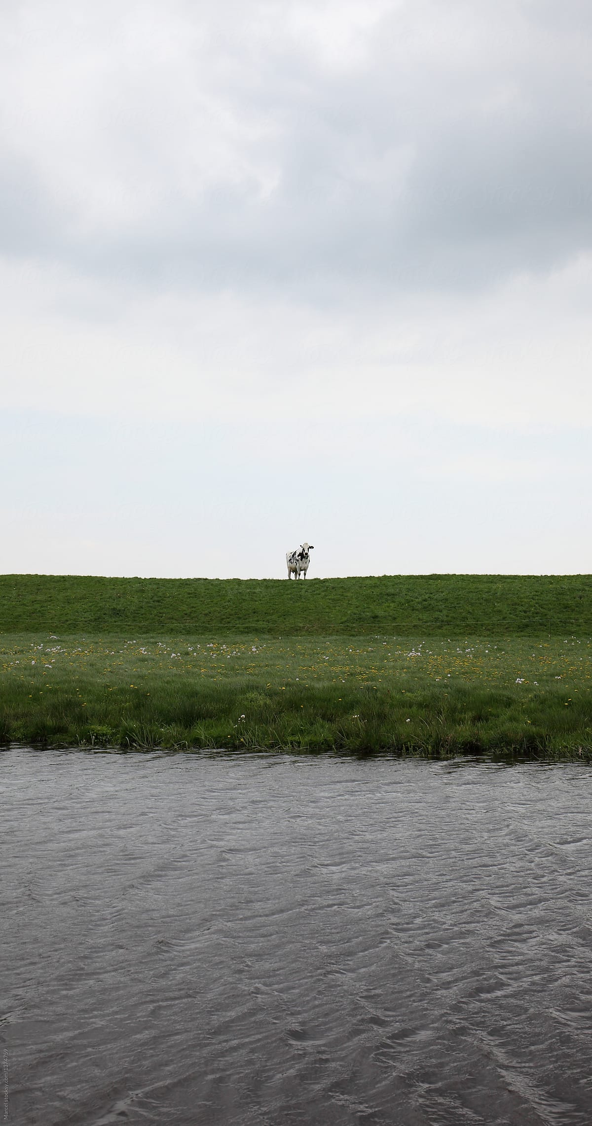 Rural Holland