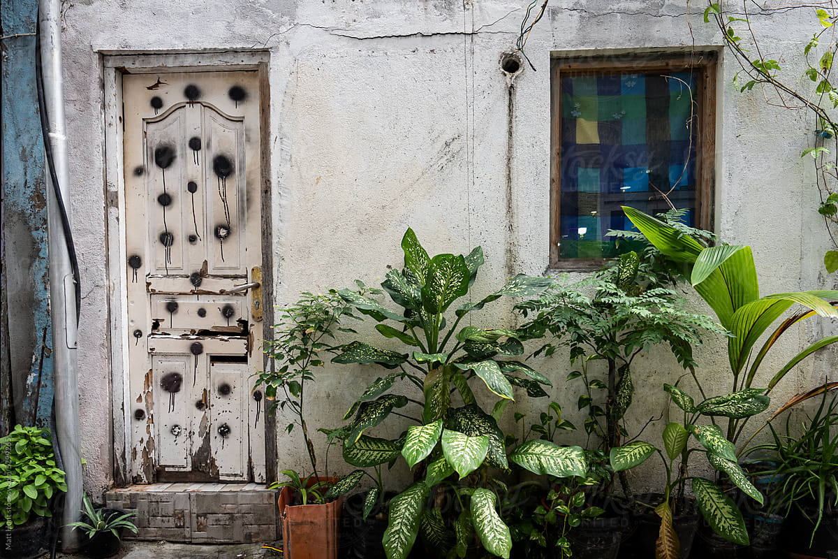 A home garden next to a door with bullet holes spray painted on it