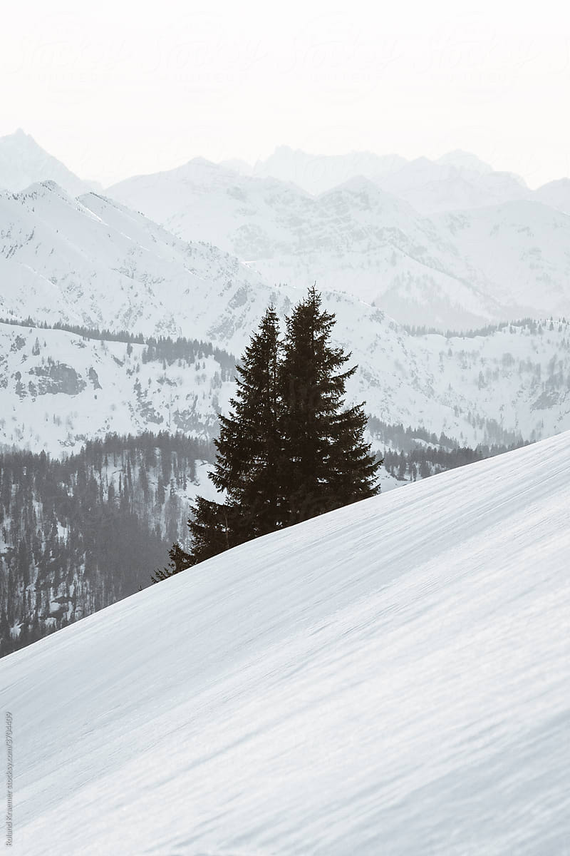 Minimalist Mountain Winter Landscape