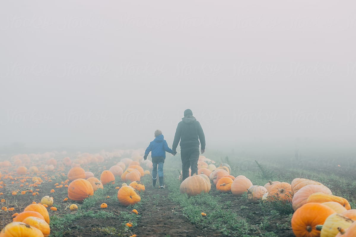 A boy and man holding hands walking through a foggy misty pumpkin field