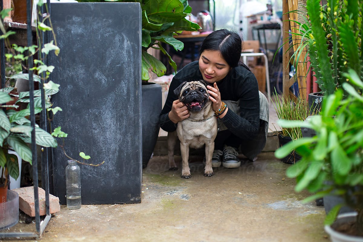 One Young Asian Woman Holding her Dog Bulldog