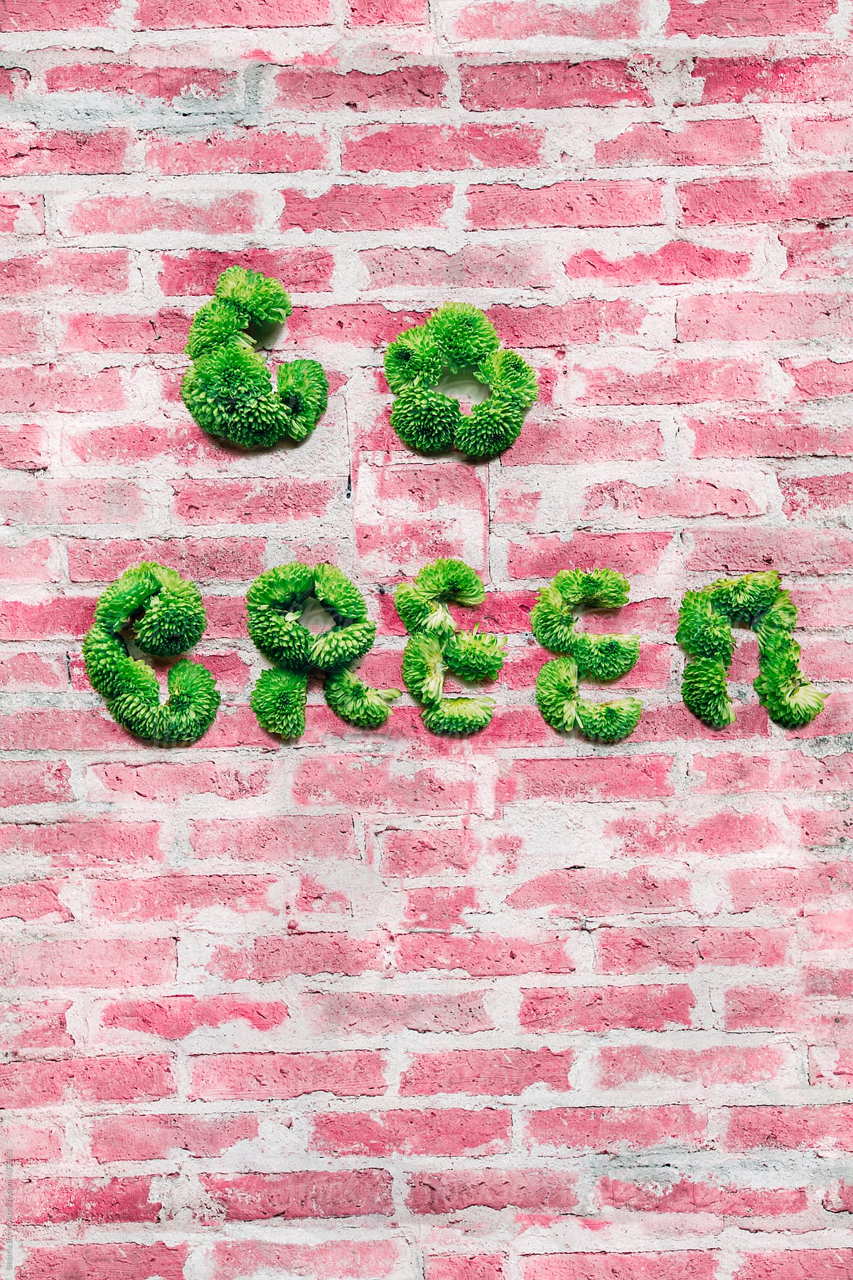 Go green message written by green plant on a pink brick wall