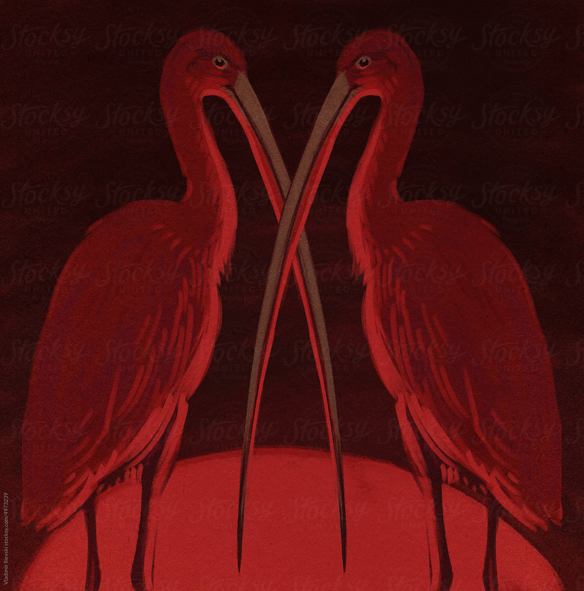 Meeting X: Scarlet Ibises with the Longest Beaks