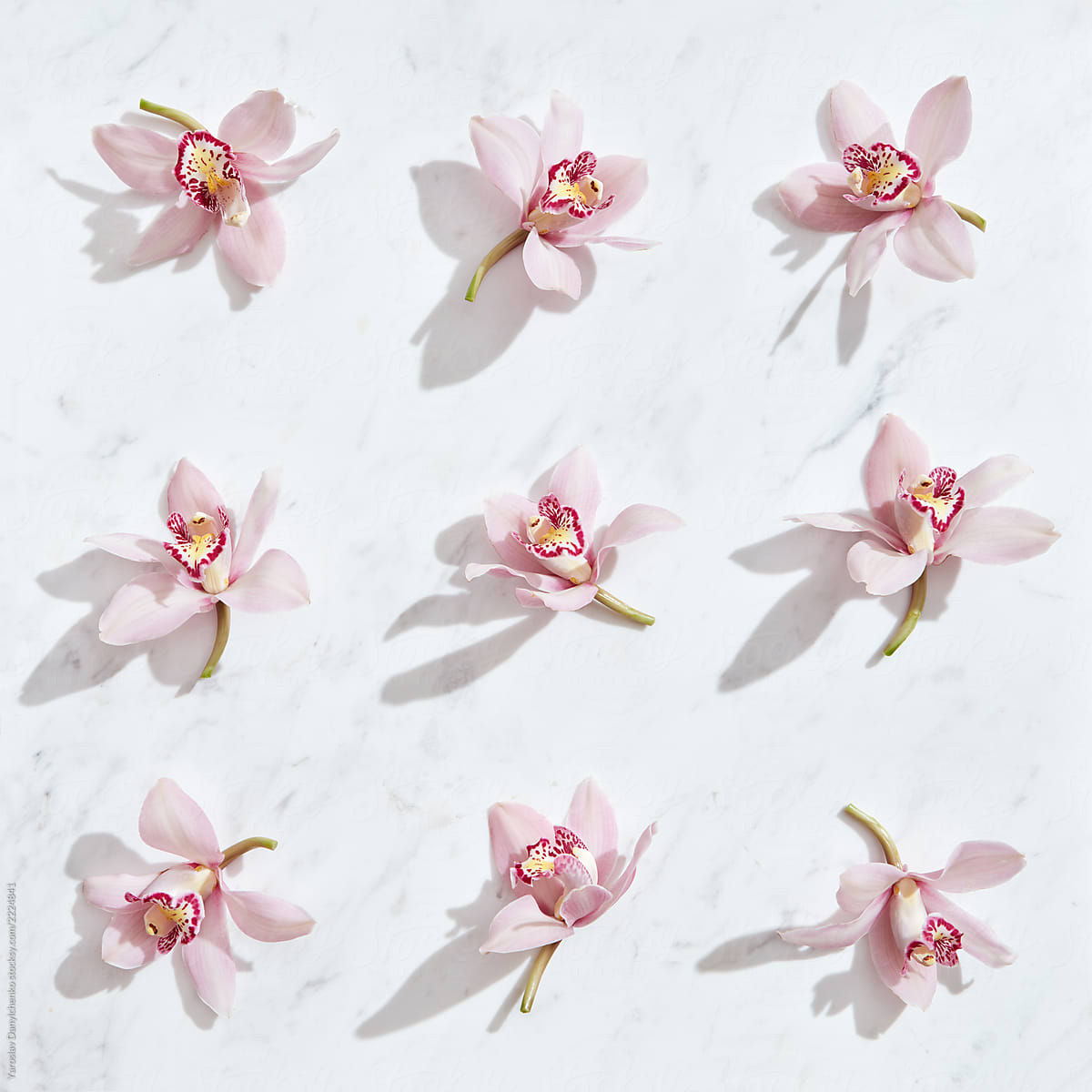 Tender pink orchids flowers pattern on a gray marble background with shadows. Top view.