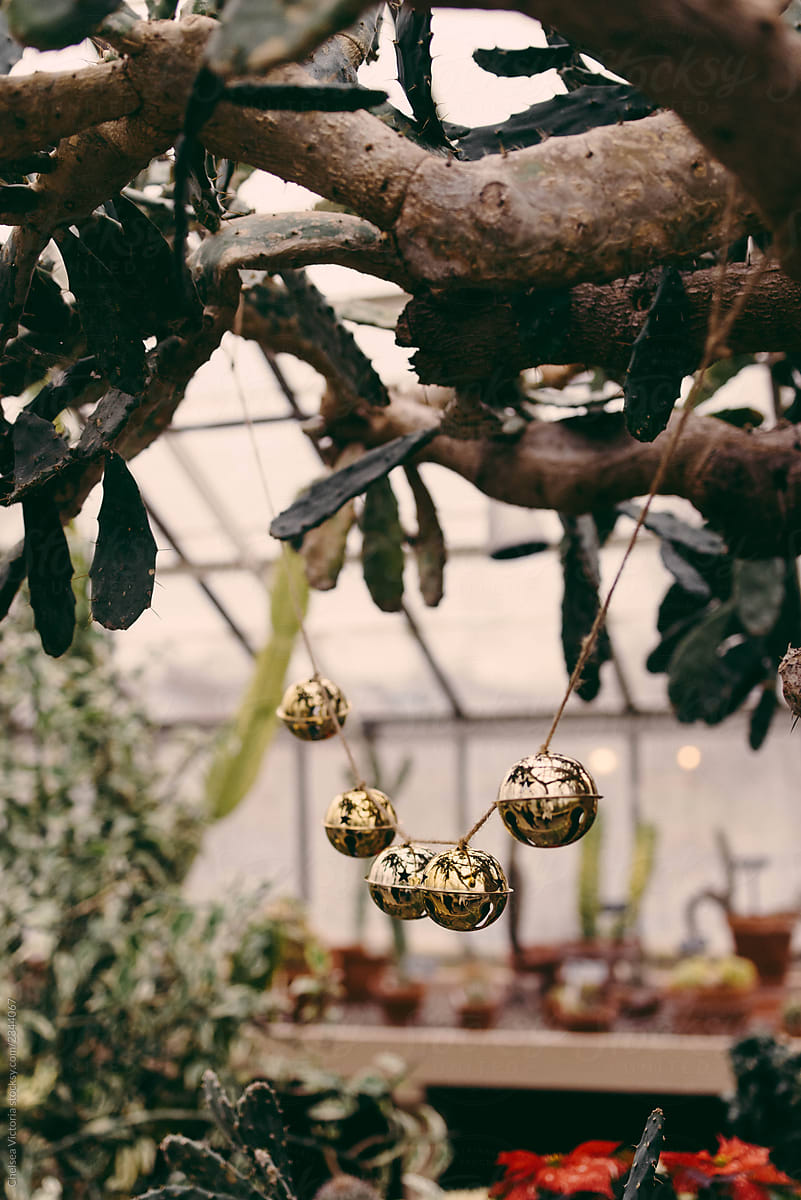 sleigh bells in a botanical garden