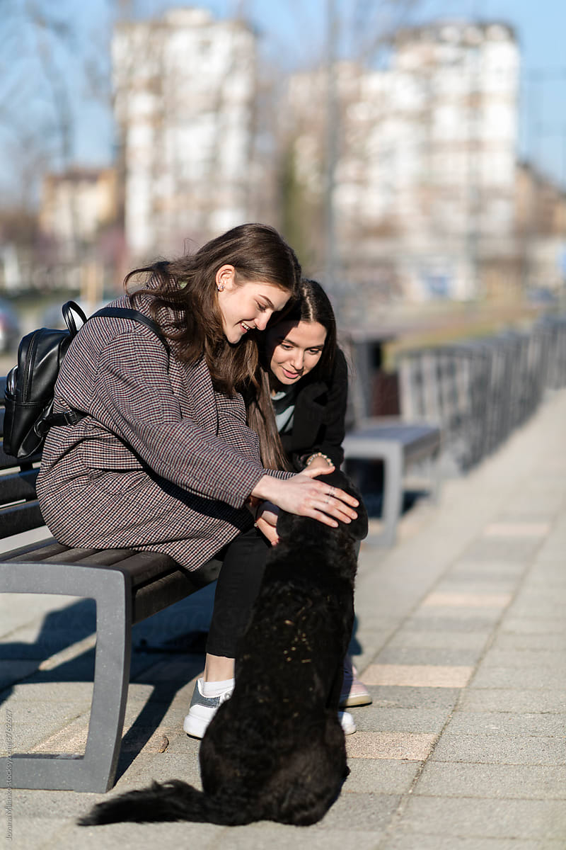 Kind Teenage Girl Friends Caring about Stray Dog