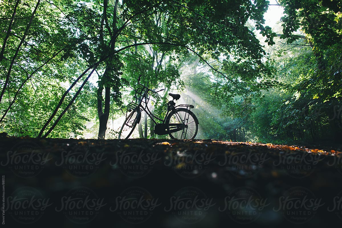 Silhouette of a bike parked in a forest with sun beaning through.