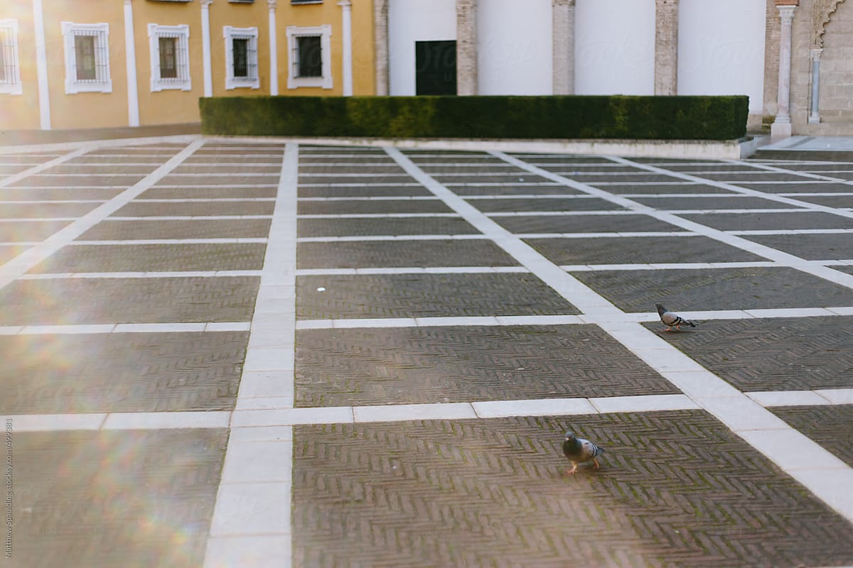 Pigeons on city sidewalk outside historic tourist attraction