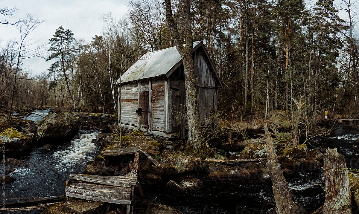 Derelict cabin in the woods