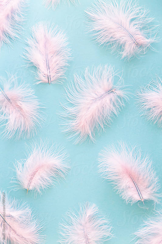 Pink feather background by Ruth Black - Background, Pastel - Stocksy United