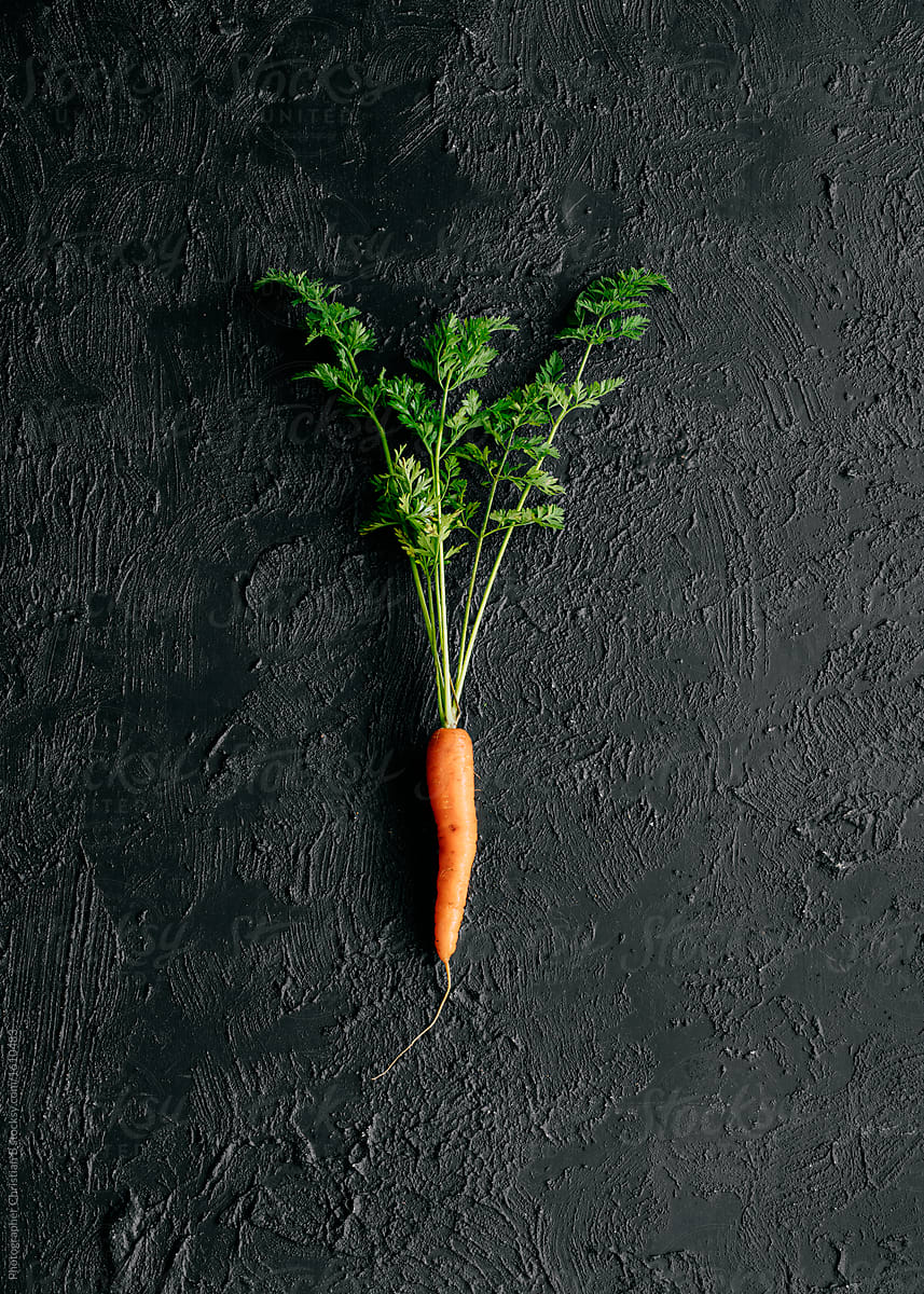 Carrot on black