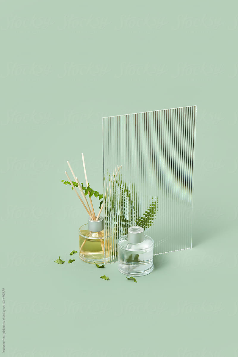 Glass aroma diffusers with glass panel and fern leaves.