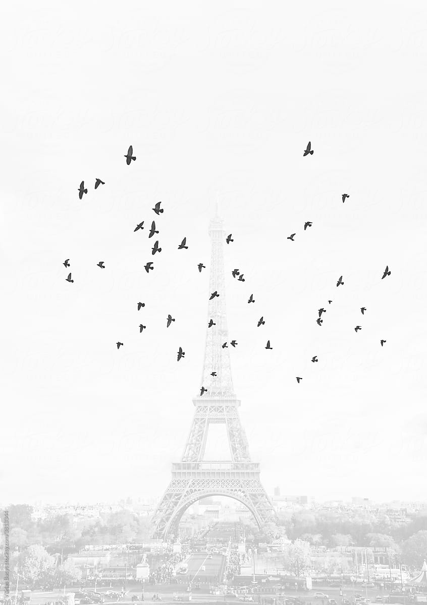 Minimalist Paris view with Eiffel tower and flock of birds