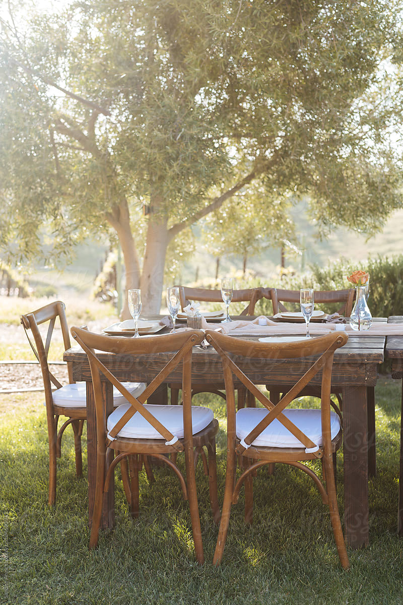 Event table under olive tree
