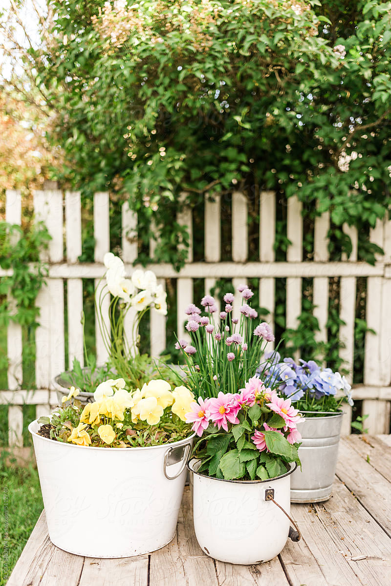 Backyard Flower Pots