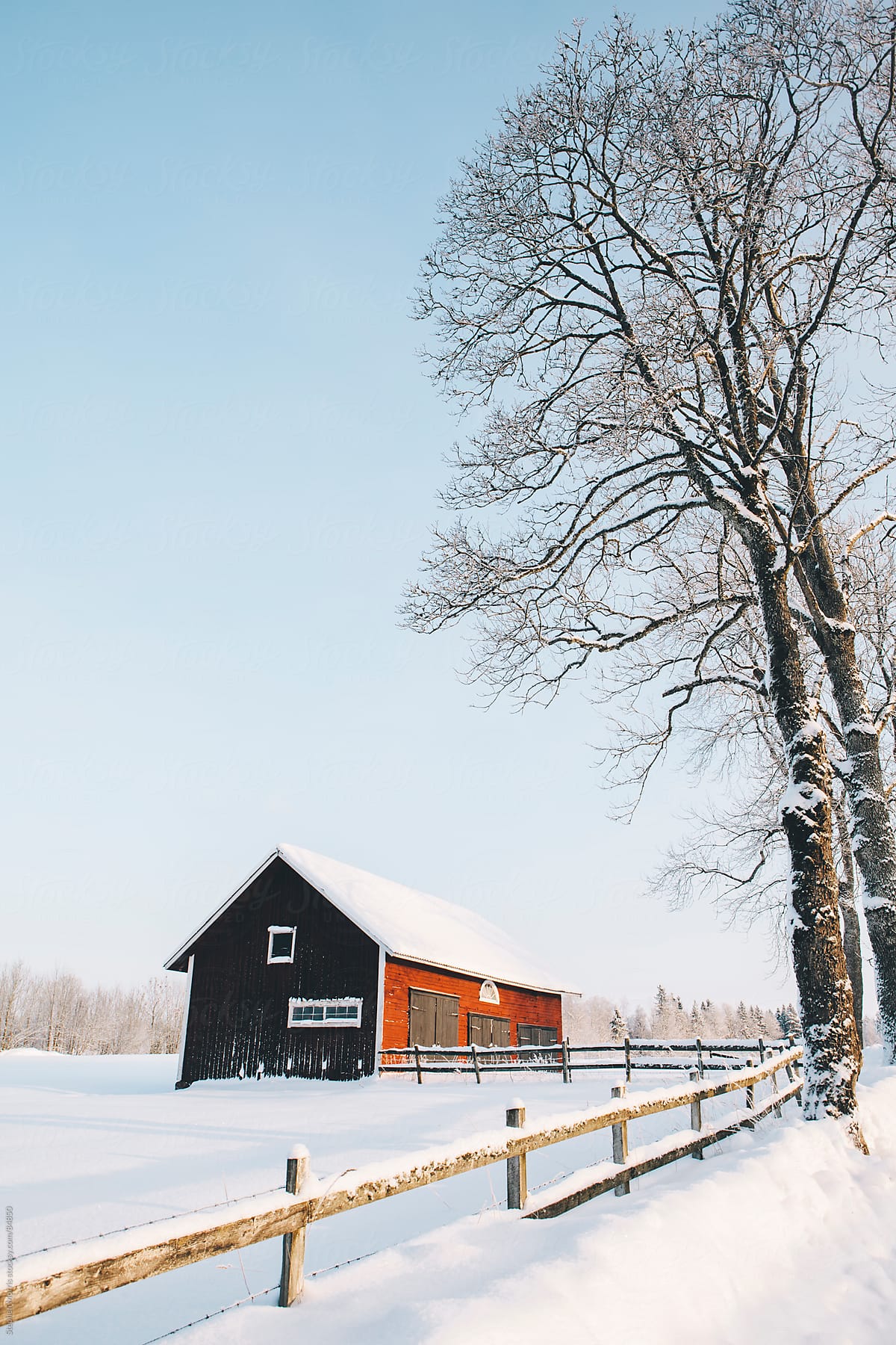 Red Barn in Snowy Swedish Landscape