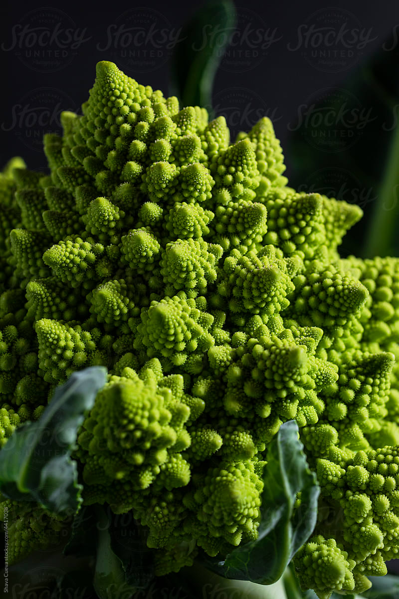 closeup of romanesco broccoli