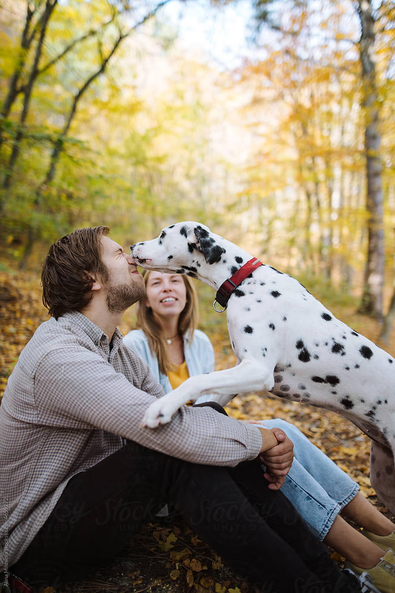 Happy loving couple with Dalmatian dog in autumn park