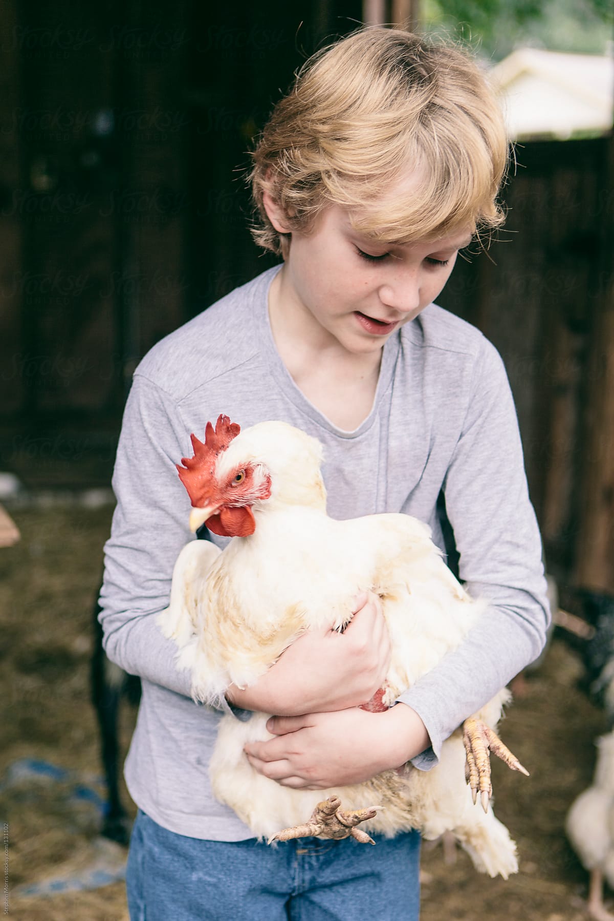 Boy with Chickens in Barnyard