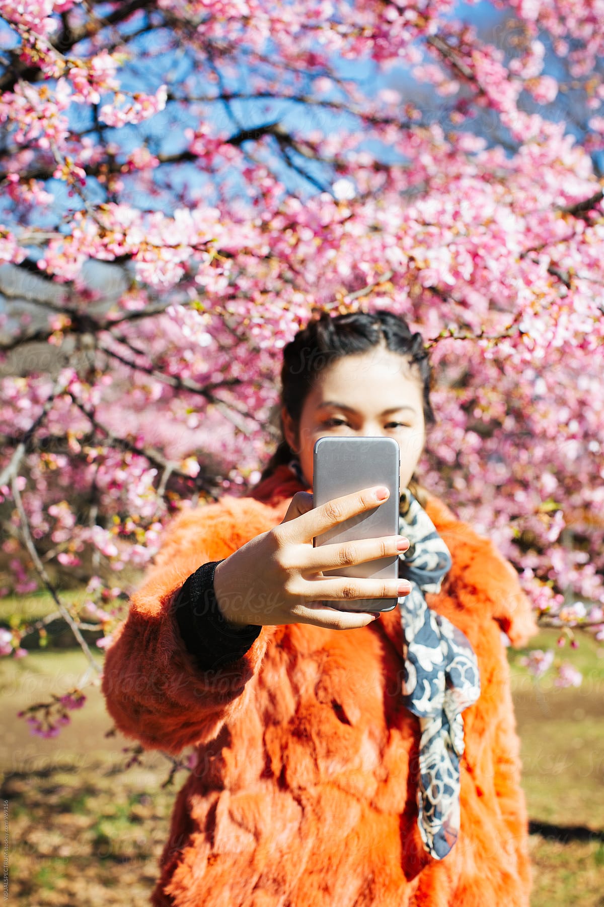 Young Japanese Woman Taking Selfie in Front of Blossoming Sakura Tree