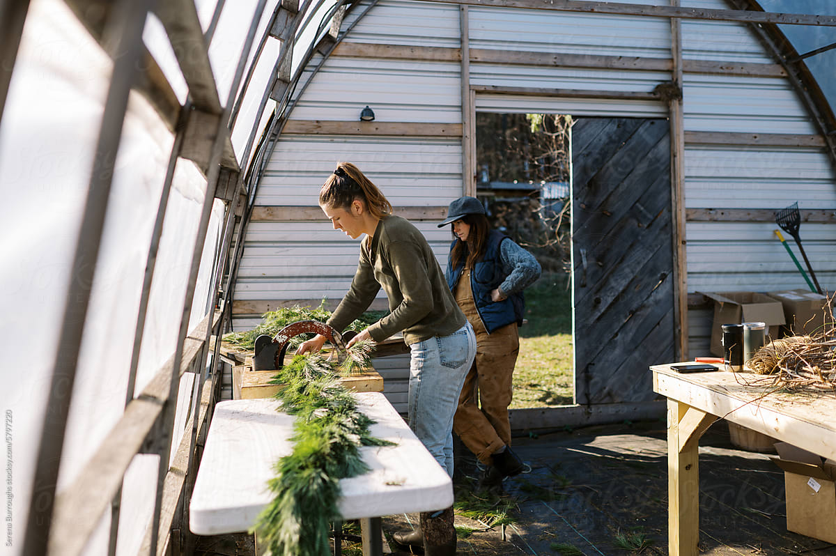 female farm workers in greenhouse working together