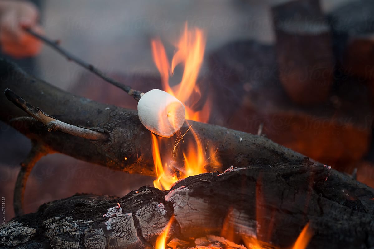 Roasting Marshmallow on a Stick in a Campfire