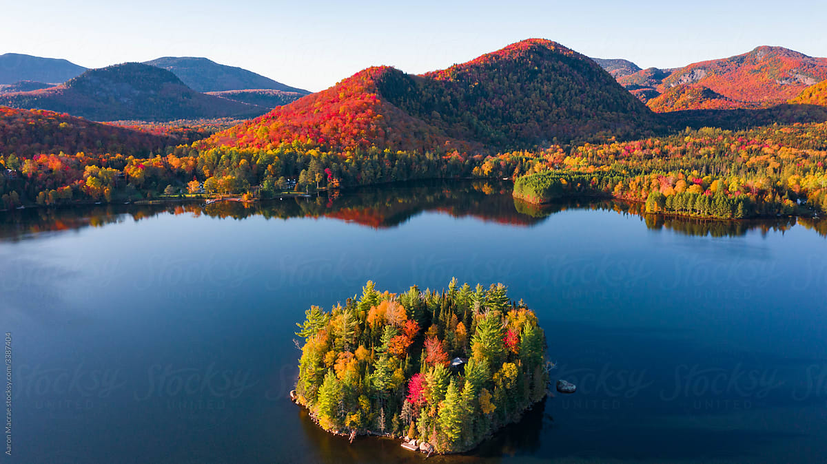 Aerial View of Fall Foliage