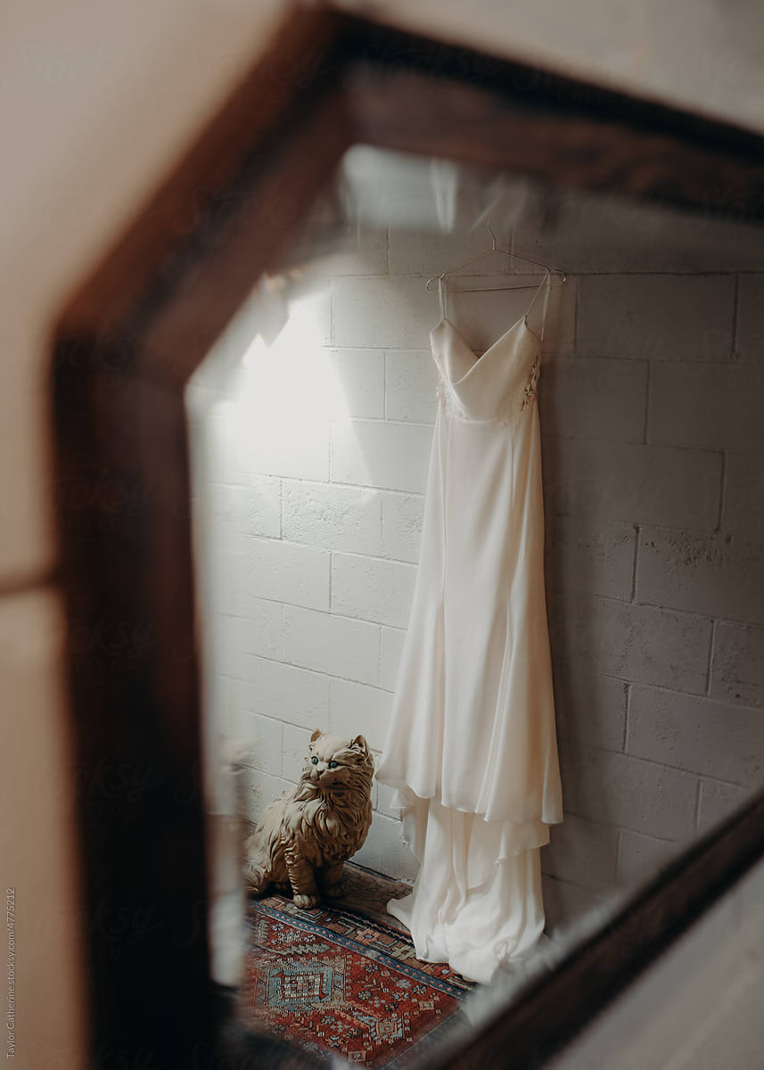 wedding dress hanging up