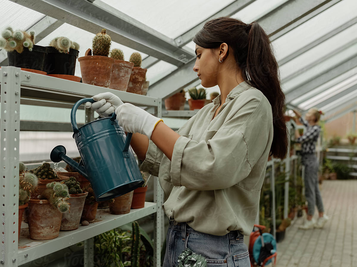 Girl watering plants on shelf in greenhouse