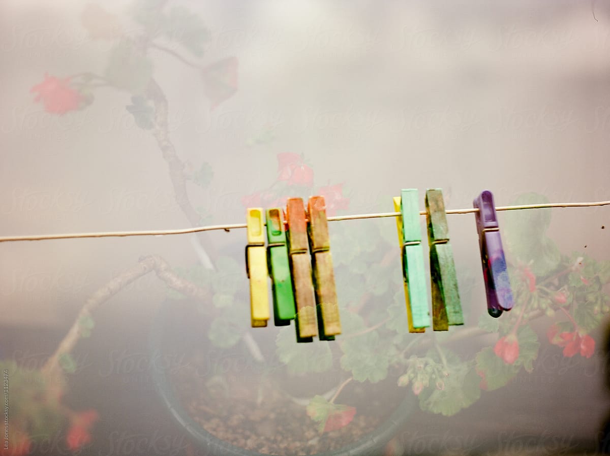 clothes pegs and flowers (double exposure )