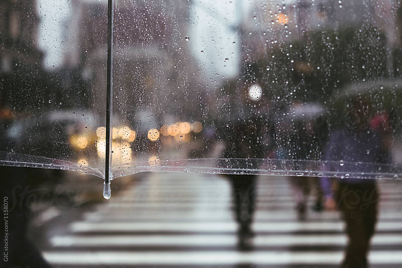 Rain in New York City