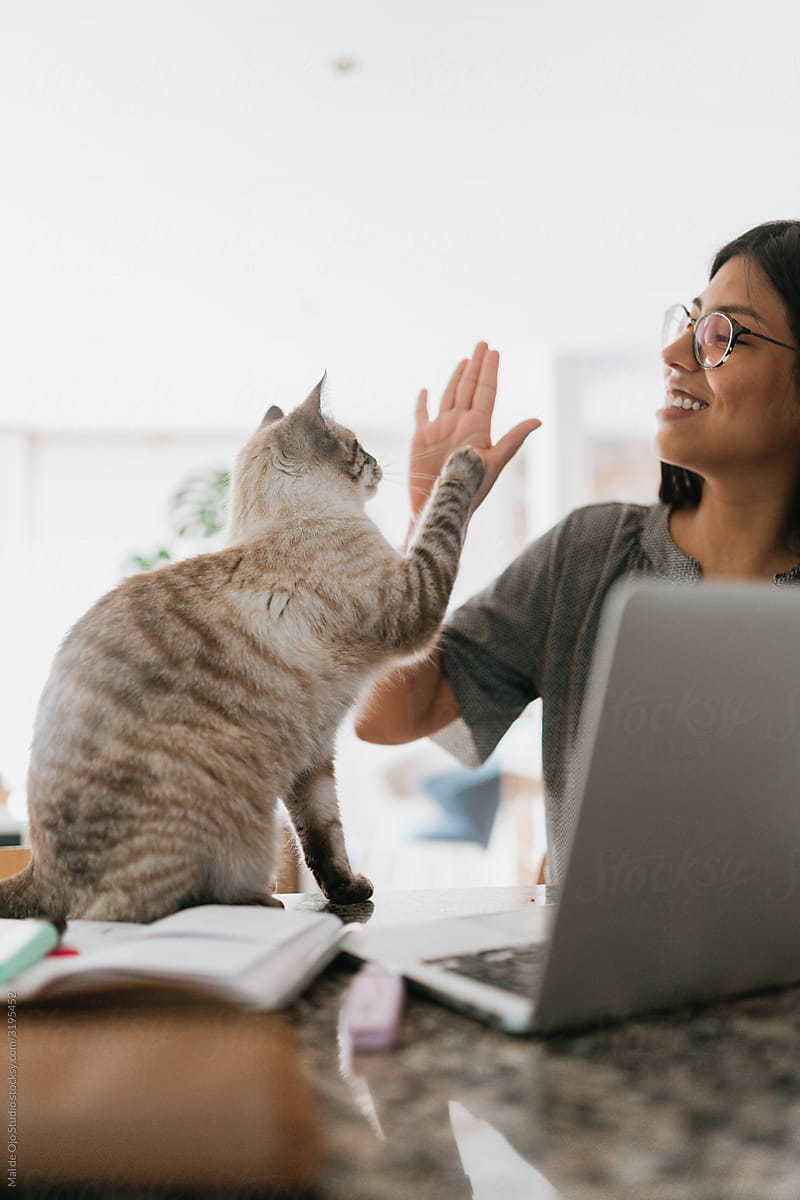 Young woman doing a High five with her cat