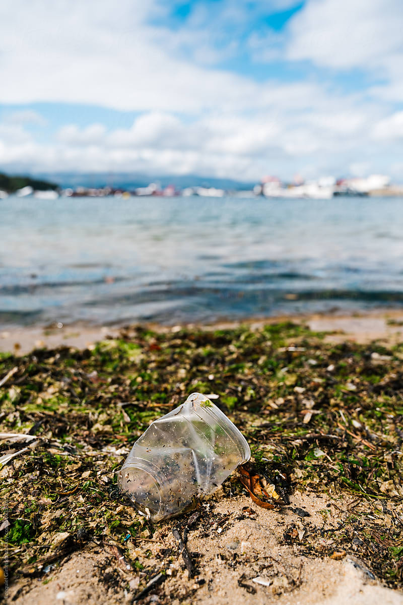 Plastic garbage on shore of sea