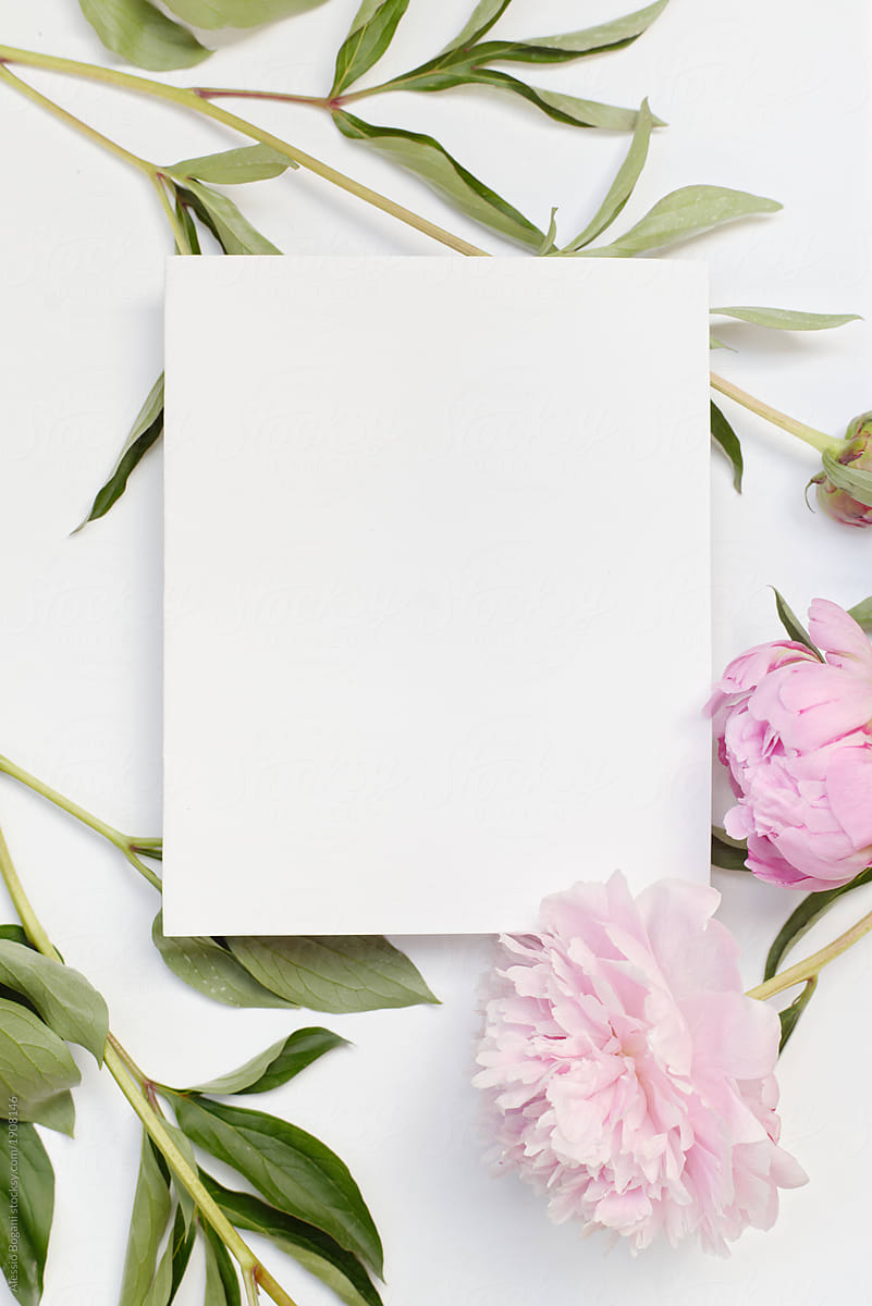 Blank Card With Pink Flowers by Stocksy Contributor Alessio