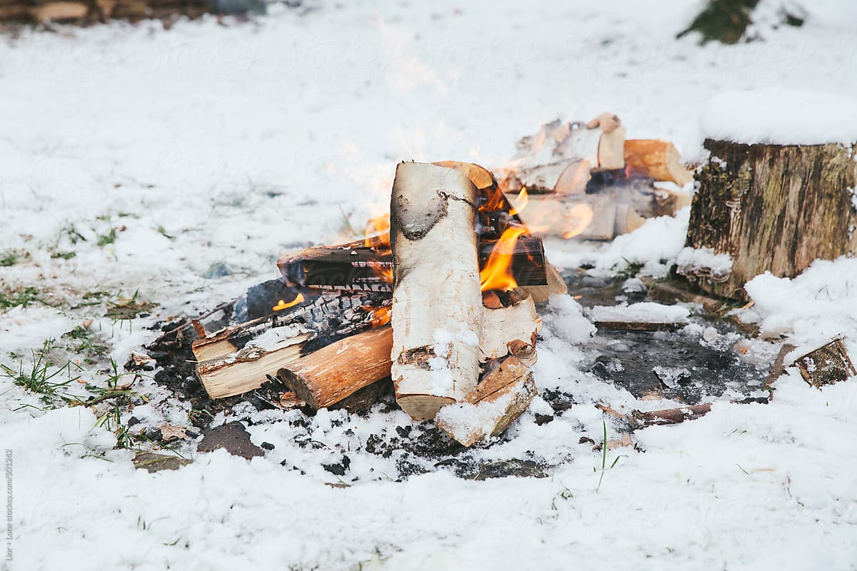 Small wood fire in the snow