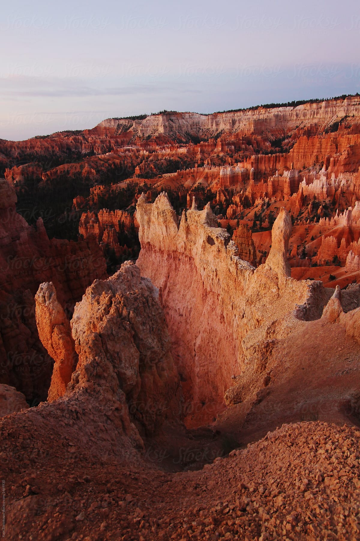 First light of sunrise begins to light up the landscape of Bryce Canyon national park.