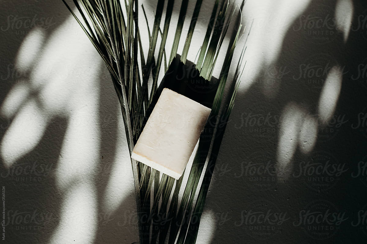 Minimal Still Life of White Natural Bar of Soap on Green Palm Leaf in Shadowy Light on White Cement.