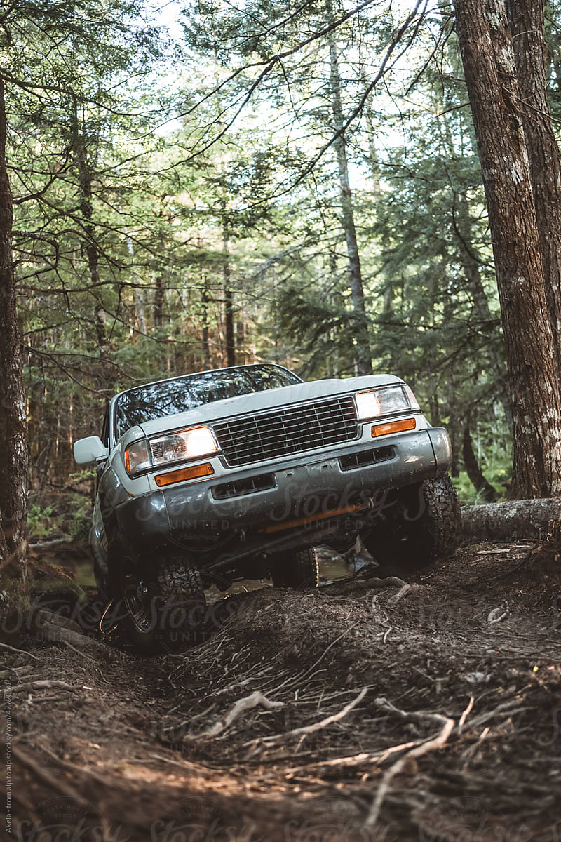 off road through a forest