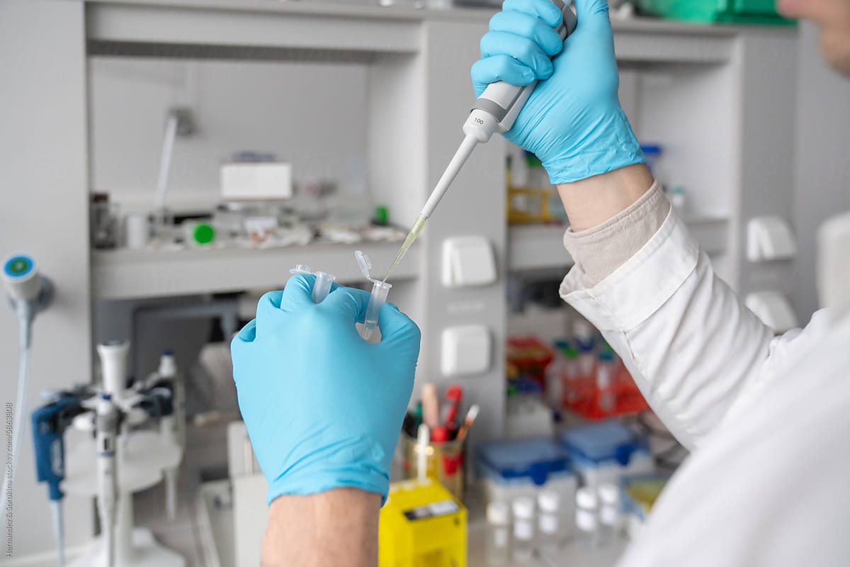 Close Up Of Researcher Hands Using Pipette