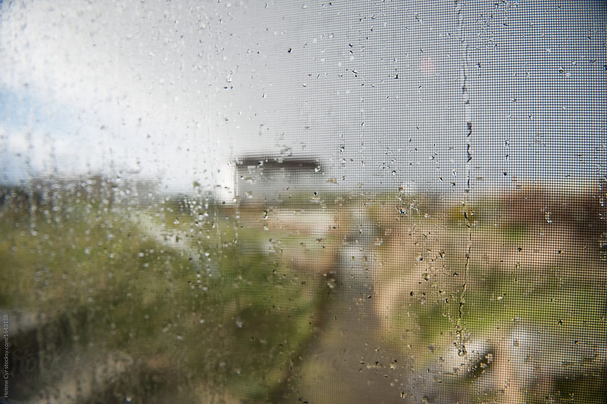 Rain drizzling down Window