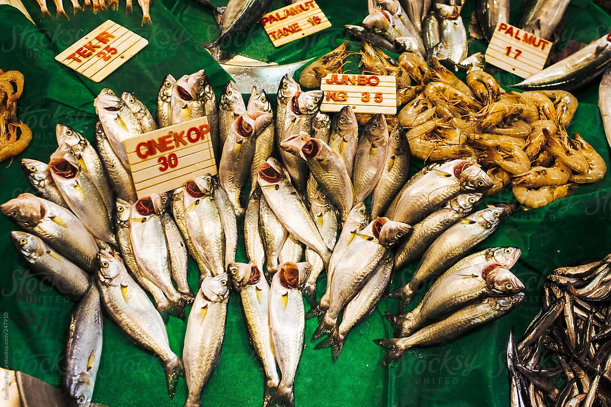 Fish on Turkey market