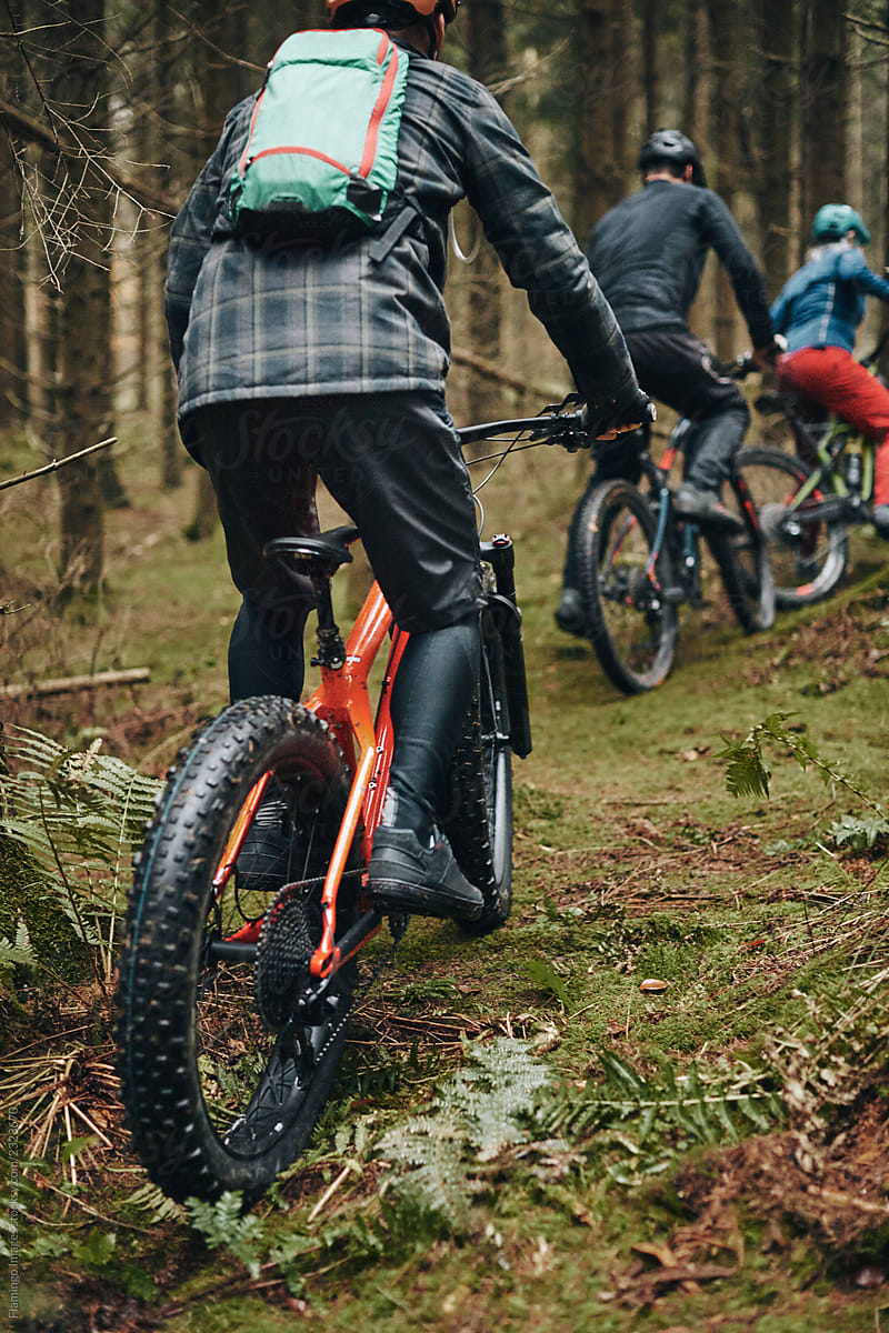 Mountain bikers riding together along a forest trail
