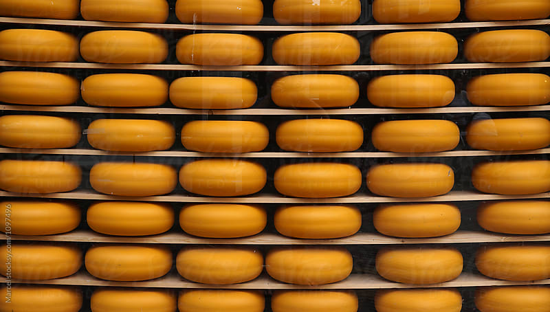 Window of a Dutch cheese-shop