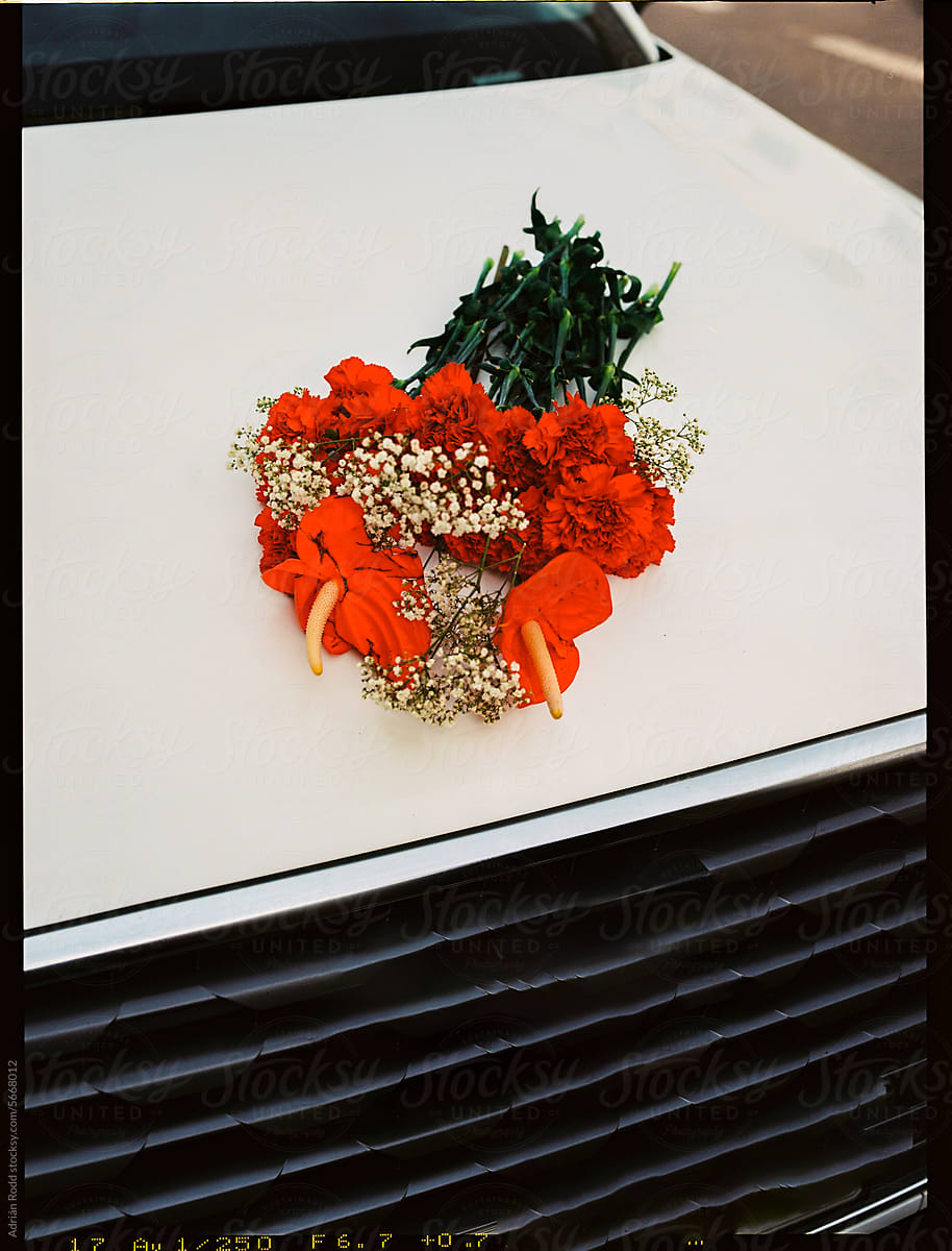 Red Flower Bouquet on a White Car Hood