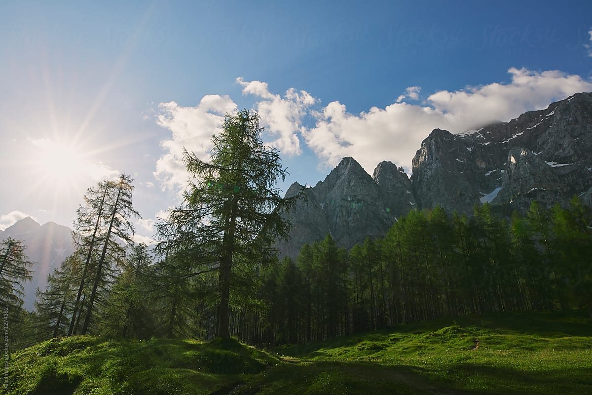 Beautiful mountain forest landscape sun shining forest travel in