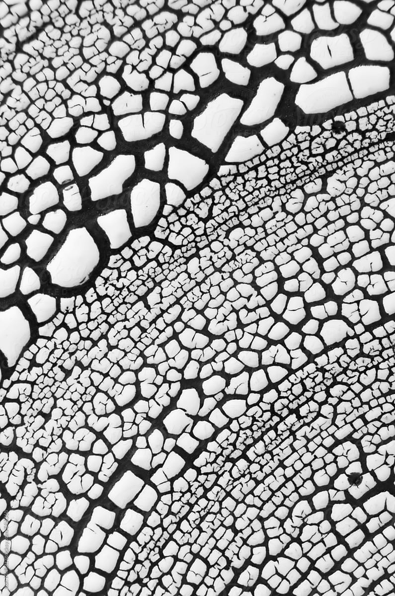 closeup macro micro abstract patterns on raku bowl, black-and-white
