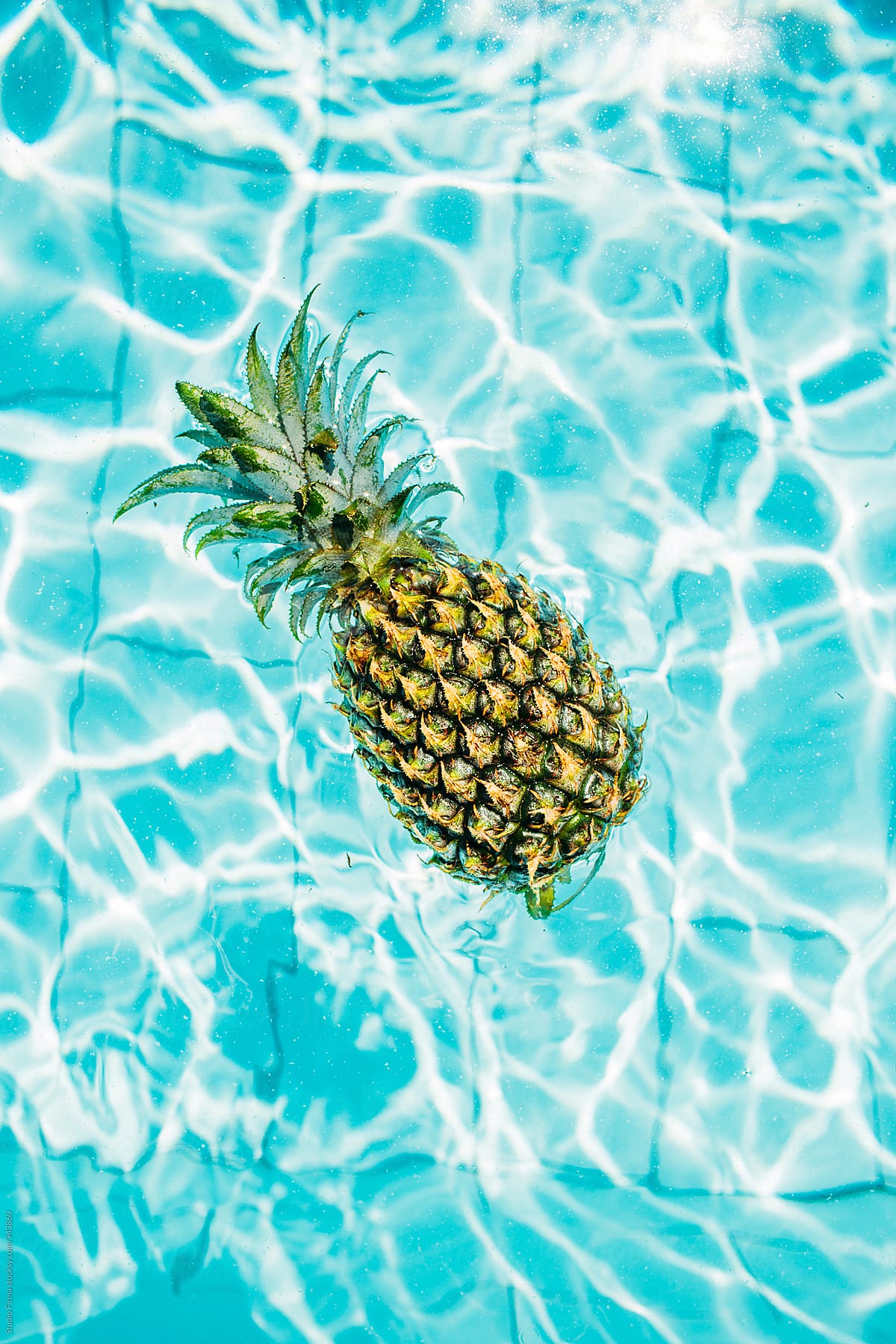 Pineapple In A Swimming Pool. porStudio Firma