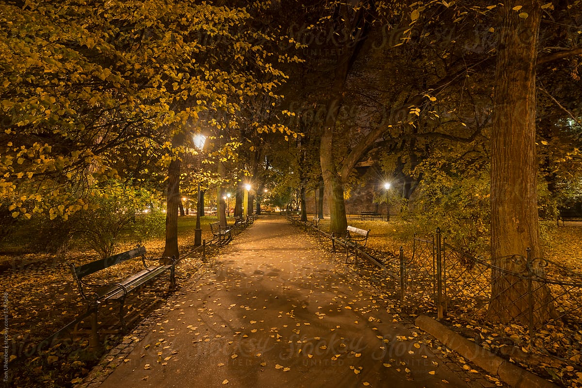 Night autumn at Autumn Night