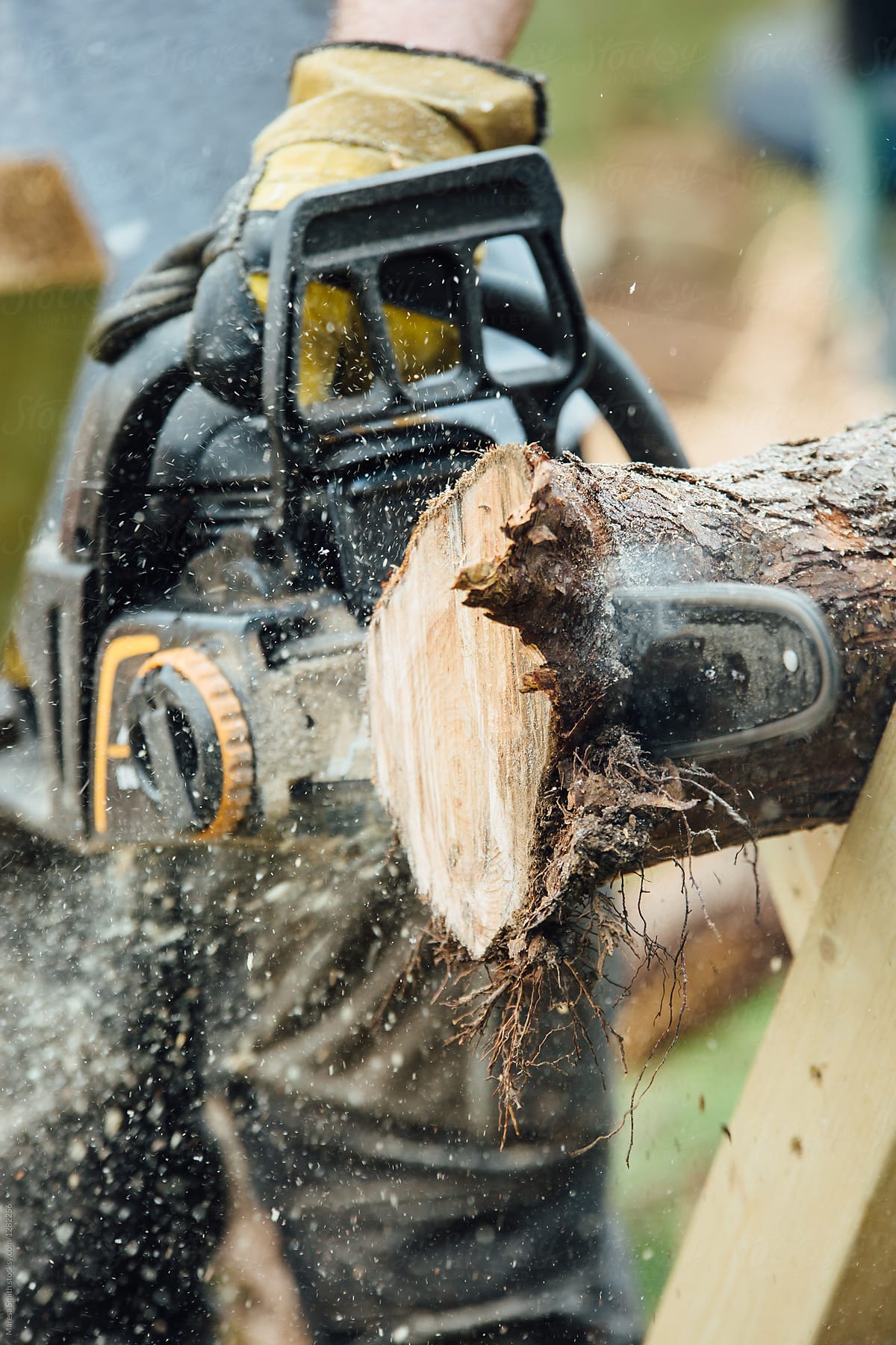Close up of a chainsaw slicing through a log